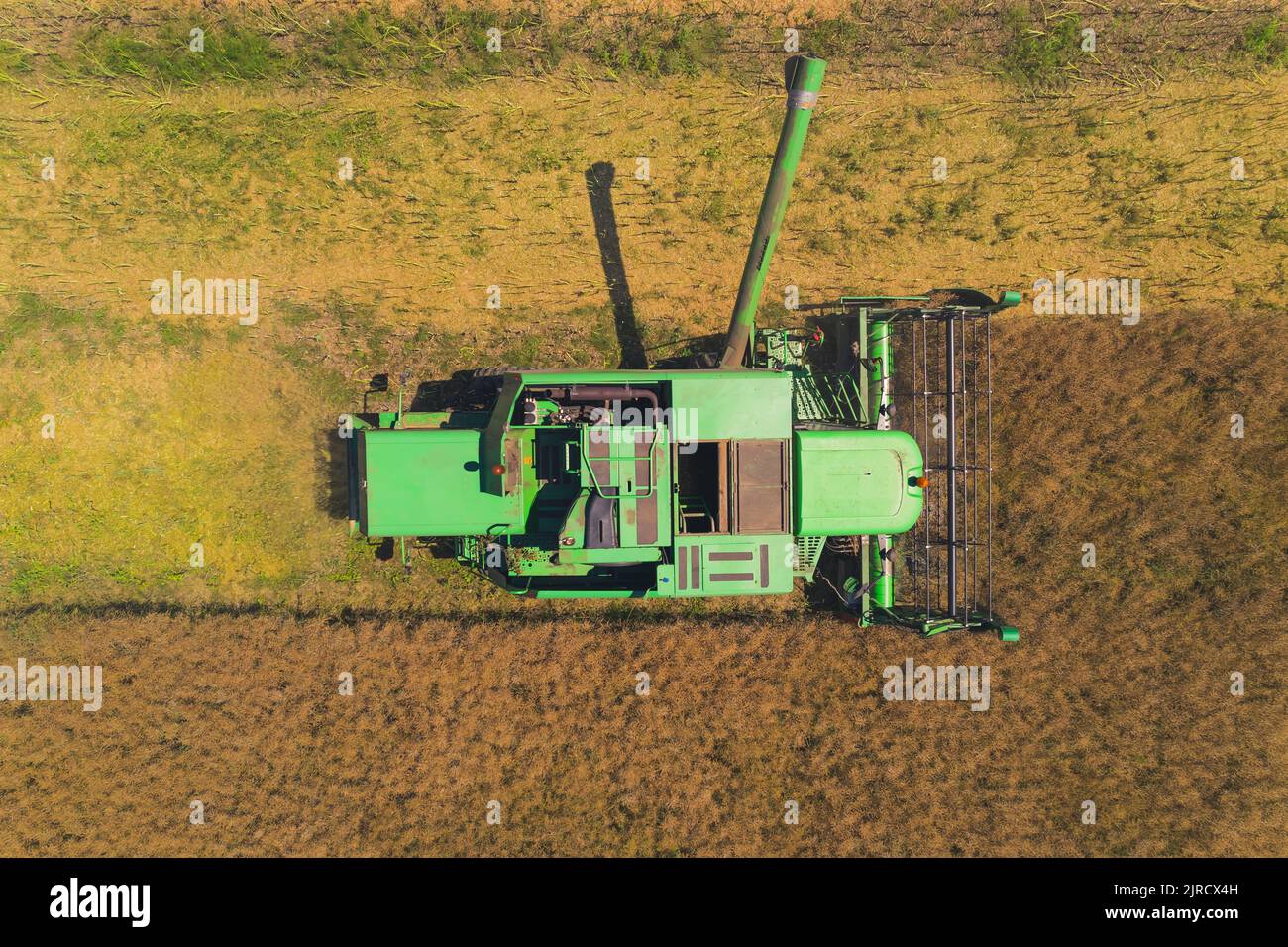 Vista dall'alto di una mietitrebbia verde durante la raccolta di colza. Colpo di drone. Concetto di industria alimentare. Foto di alta qualità Foto Stock