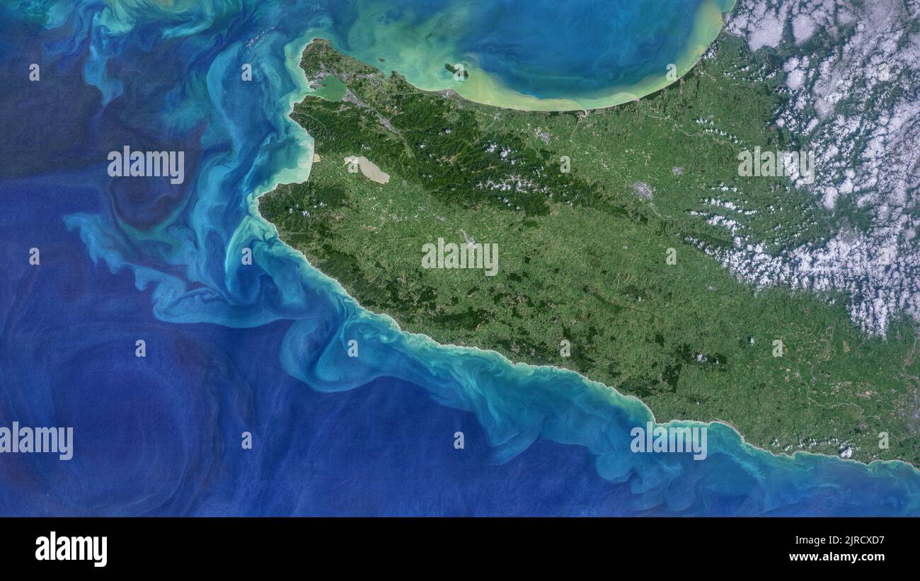 Antenna dell'Isola del Nord della Nuova Zelanda Foto Stock