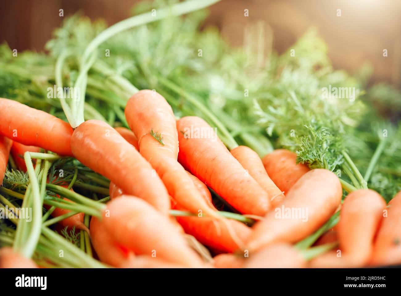 Sfondo di carota, cibo sano e verdure dalla natura, agricoltura e sostenibilità giardino sul mercato agricolo. Nutrizione, dieta fresca e. Foto Stock
