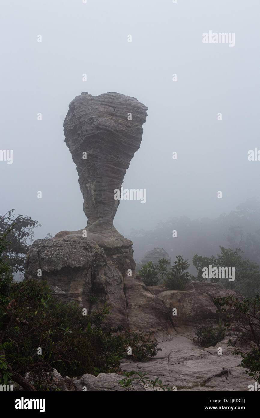 La strana pietra ( sembra una coppa di trofei ) con nebbia al mattino al Parco Nazionale Pa Hin Ngam . Chaiyaphum , Tailandia . Foto Stock