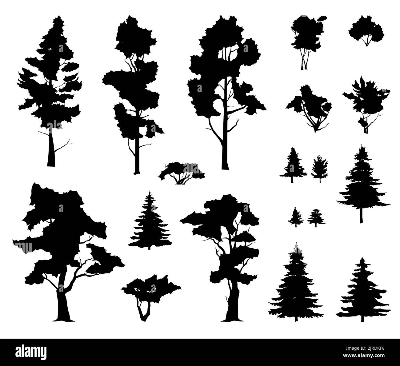 Set di alberi e piante. Foresta di conifere con abeti e pini. Per il paesaggio con alberi ed erba. Immagine della silhouette. Isolato su sfondo bianco. Illustrazione Vettoriale