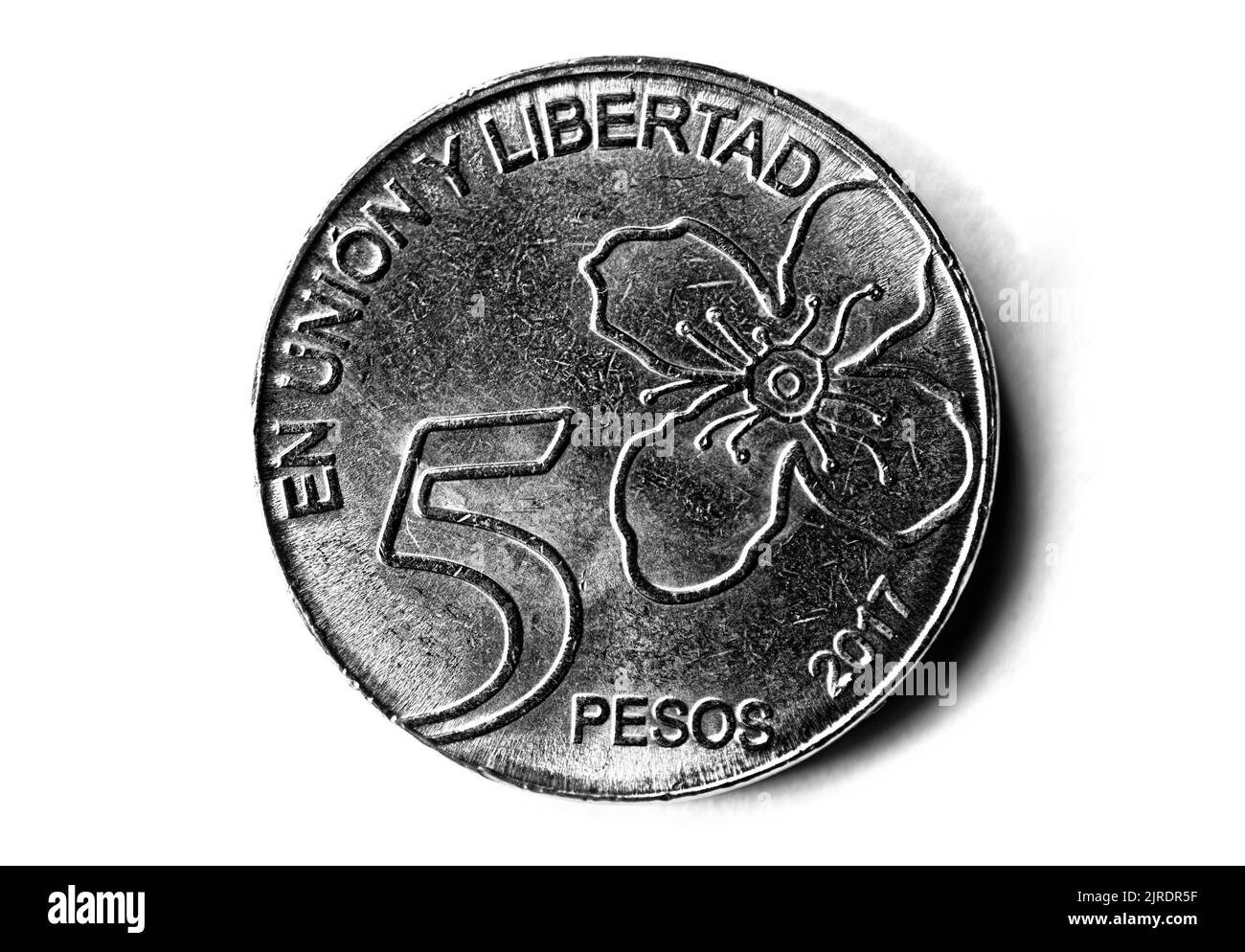 Foto monete Argentina 2017,5 pesos, mirto albero Foto Stock