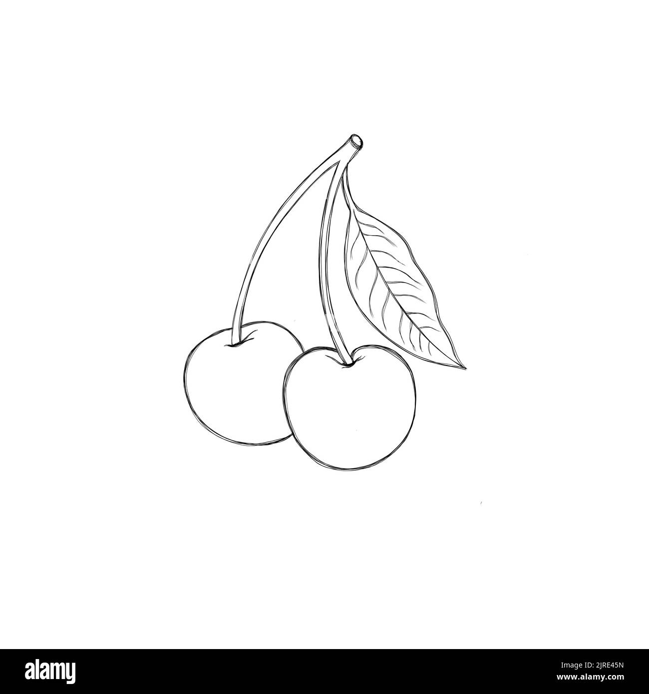 ciliegio - modello per la colorazione dei bambini, compito dei bambini per colorare l'immagine Foto Stock