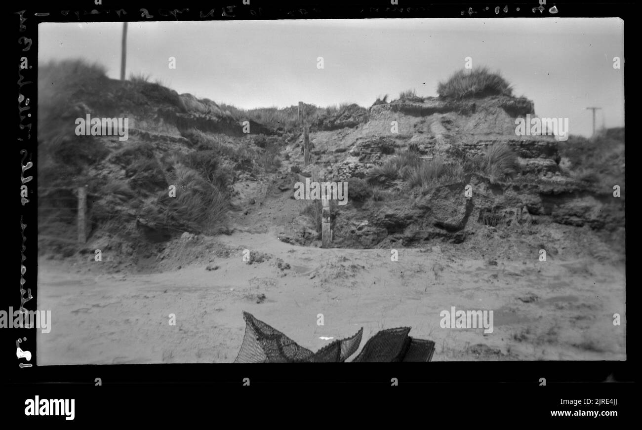 Soglia estuarica, Titahi Bay...., 04 novembre 1949, di Leslie Adkin. Foto Stock