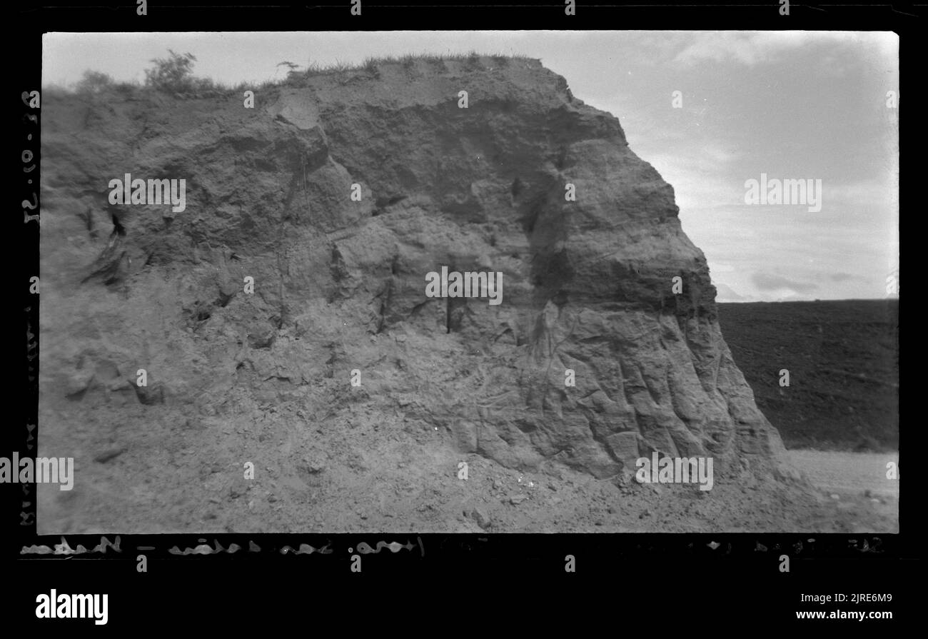 Arenaria di Horowhenua stratificata (e infine laminata), 25 ottobre 1936, da Leslie Adkin. Foto Stock