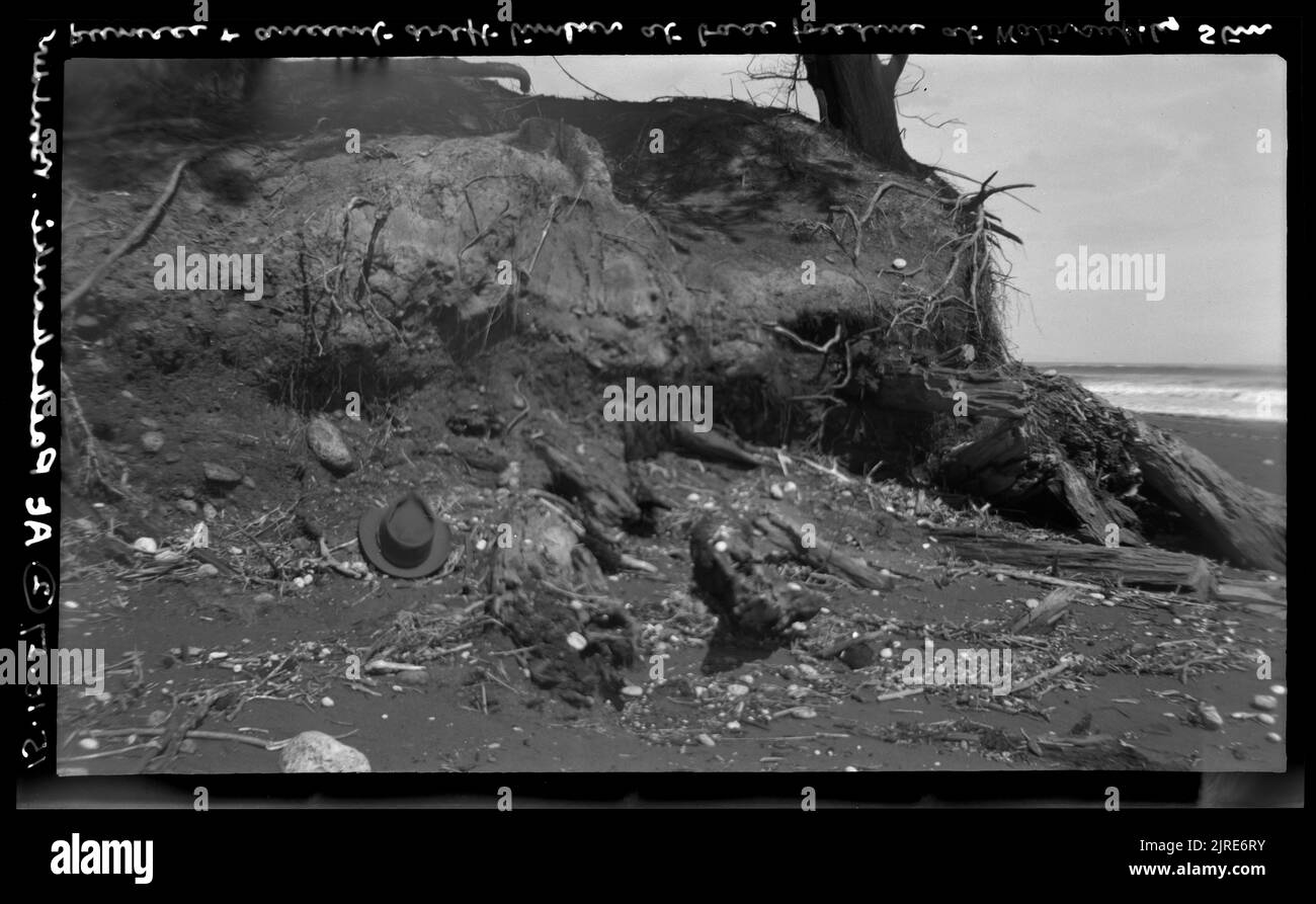 Tararua Range ..., 15 ottobre 1957, da Leslie Adkin. Foto Stock