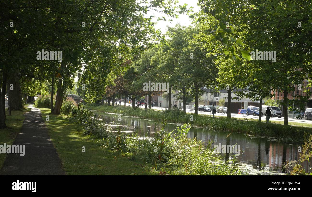 Dublino città lungo il canale reale durante l'estate. Luce appicchiata dagli alberi e gru nel palazzo edificio sullo sfondo. Foto Stock