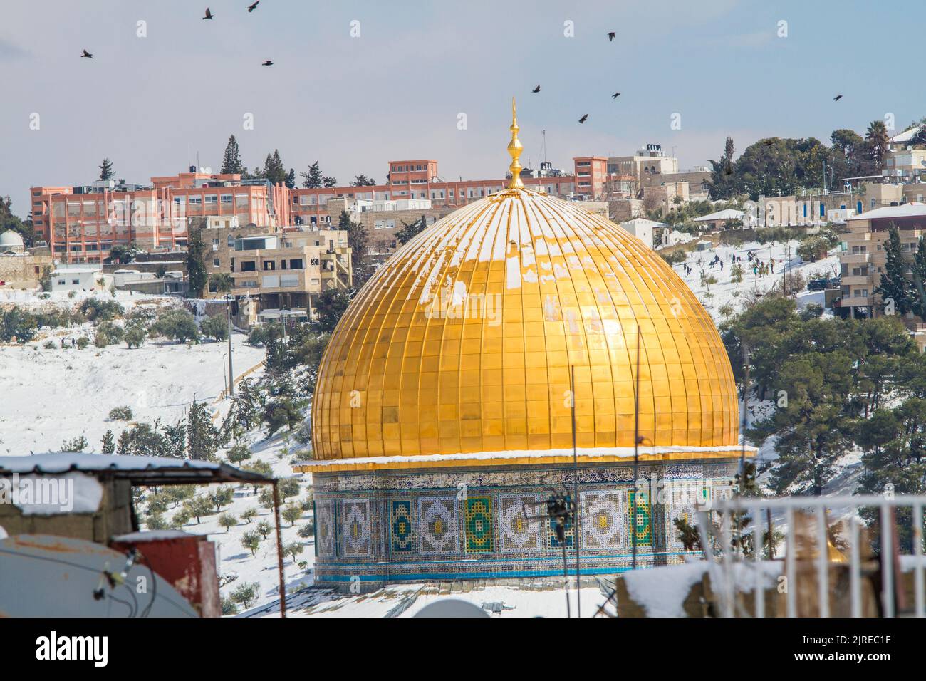 Al-Qds al-Sharif, al-Aqsa moschea, la Sacra cupola della roccia, i cortili di al-Aqsa moschea Foto Stock