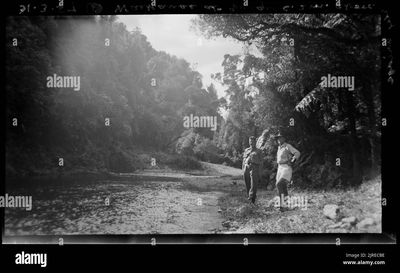 Waikanae a gola (circa 2 metri) sopra il ponte ferroviario, 31 marzo 1957, da Leslie Adkin. Foto Stock