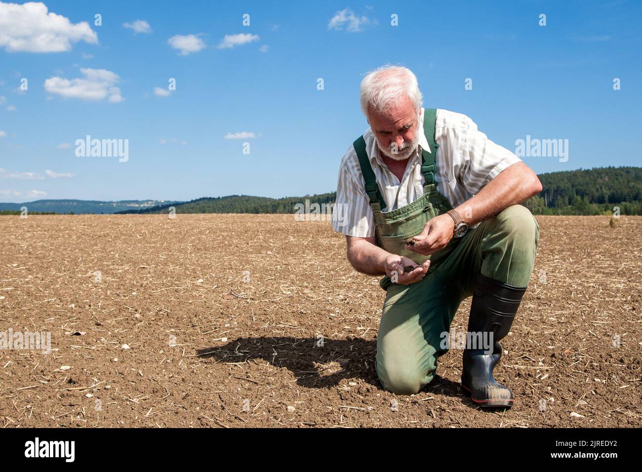Un vecchio contadino esperto si inginocchia nel suo campo appena seminato ed esamina ansiosamente la terra arroccata. Foto Stock