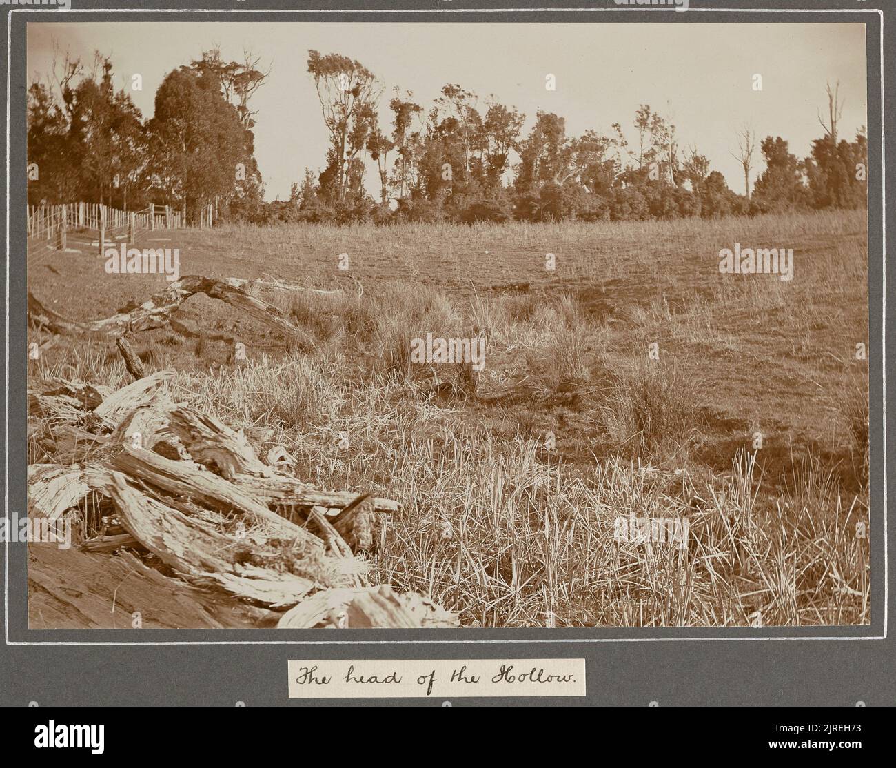 Inizi di 'Woodside.' 2 agosto 1914: La testa della cavità. Dall'album: Fotografie di famiglia [1914-1917], 1914, Levin, di Leslie Adkin. Foto Stock