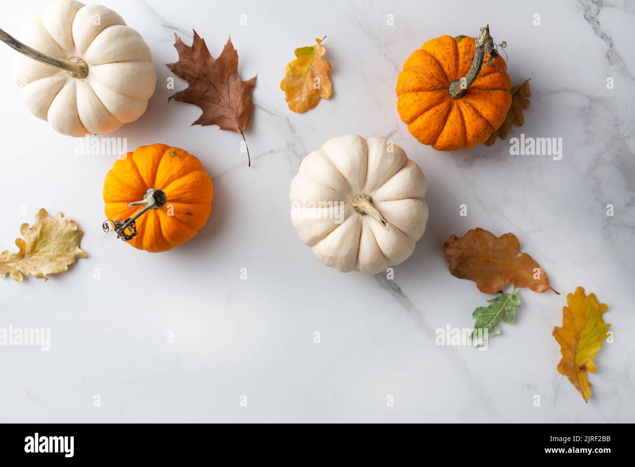 Zucca bianca e arancione su superficie di marmo cibo vista dall'alto Foto Stock