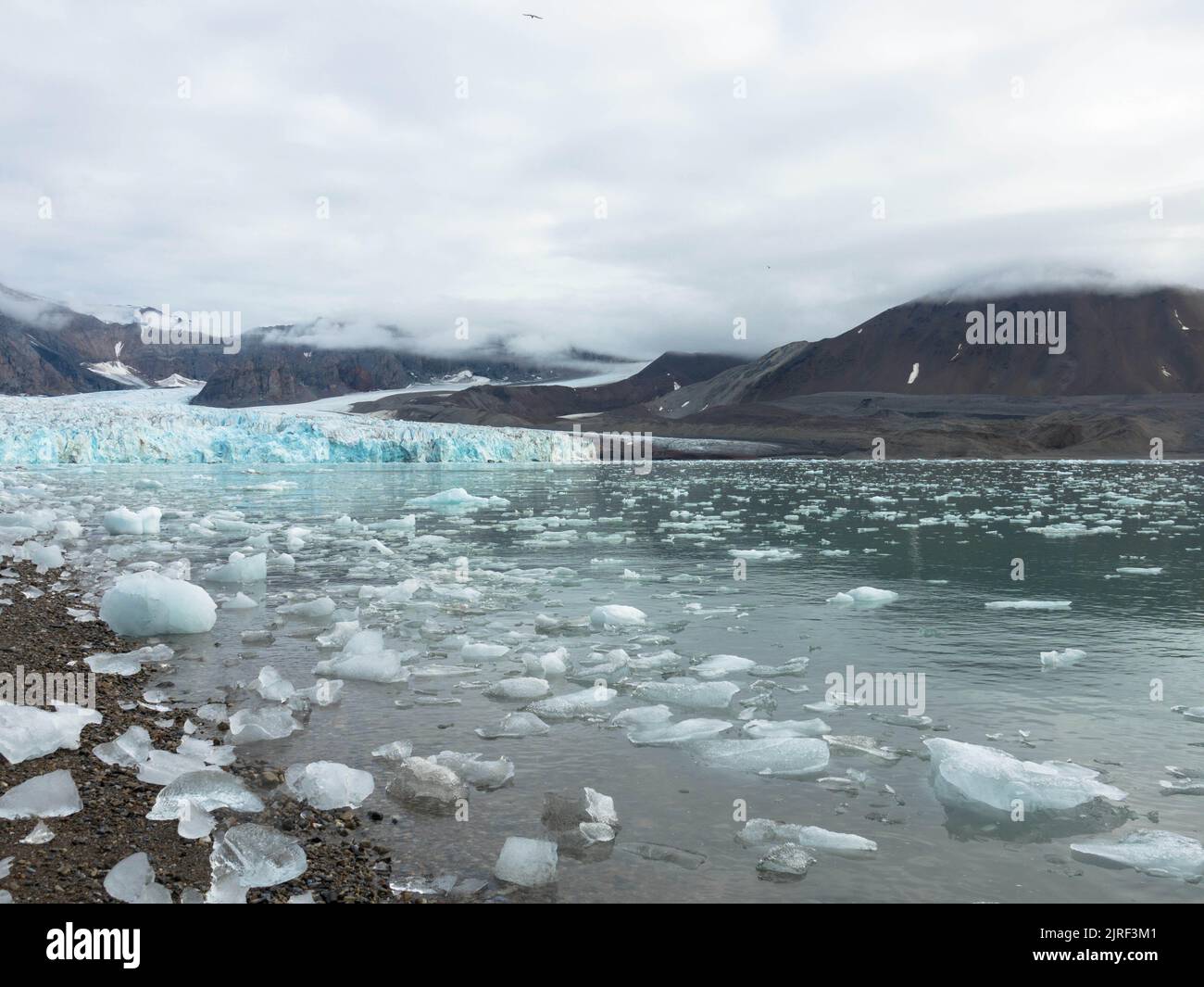 Vista panoramica del 14th luglio Ghiacciaio o la Fjortende Julibreen. È un bellissimo ghiacciaio che si trova nel nord-ovest di Spitsbergen. Floating Pack Ice Foto Stock