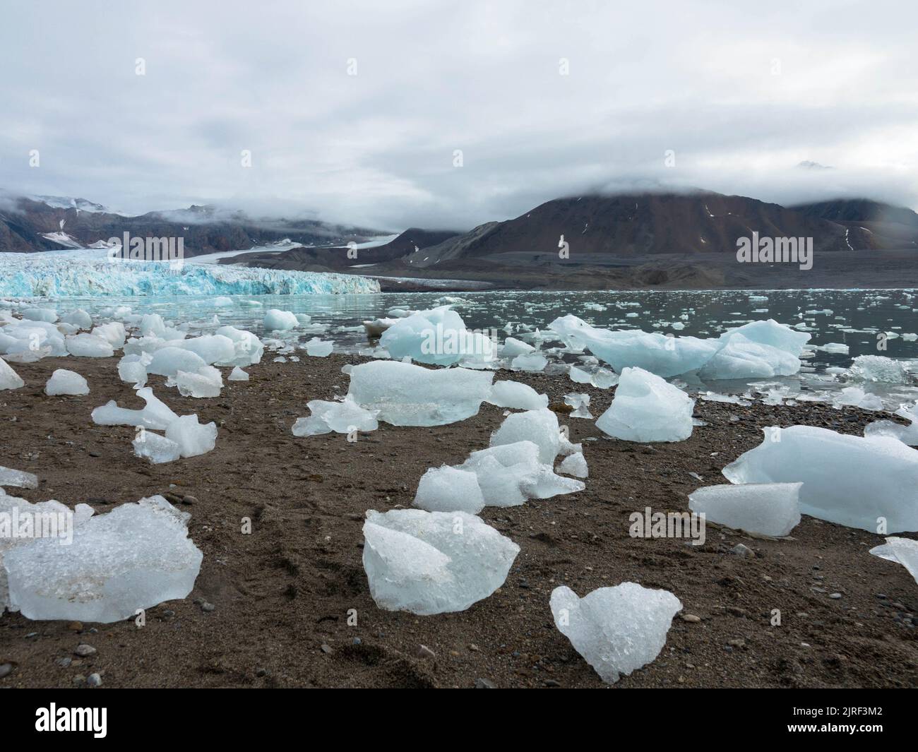 Vista panoramica del 14th luglio Ghiacciaio o la Fjortende Julibreen. È un bellissimo ghiacciaio che si trova nel nord-ovest di Spitsbergen. Floating Pack Ice Foto Stock