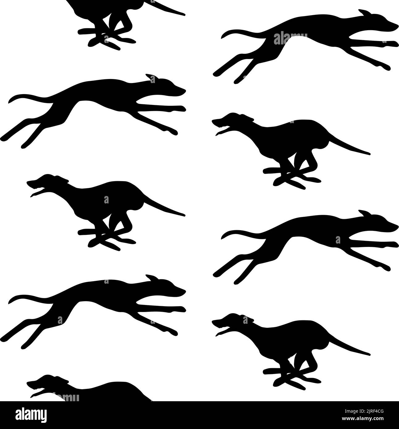 Modello vettoriale senza cuciture di canino trainato a mano con silhouette isolata su sfondo bianco Illustrazione Vettoriale