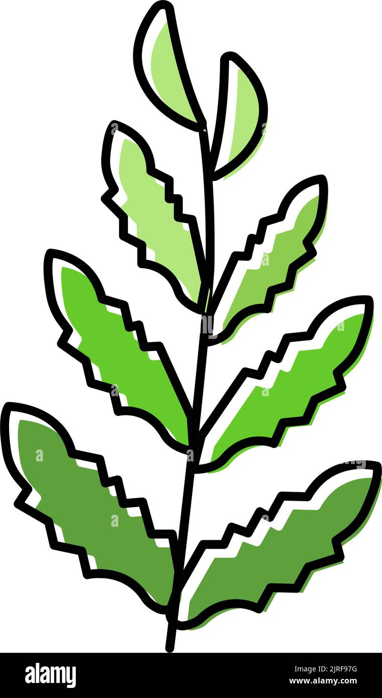 illustrazione del vettore icona a colori di felce d'acqua africane Illustrazione Vettoriale