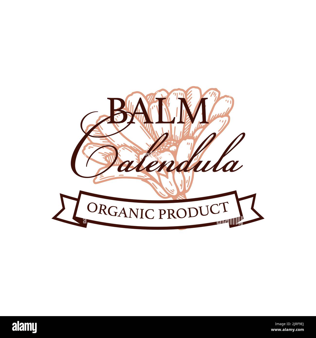 Design del logo del prodotto calendula vintage disegnato a mano. Illustrazione vettoriale nello stile di schizzo. Può essere utilizzato per l'imballaggio Illustrazione Vettoriale