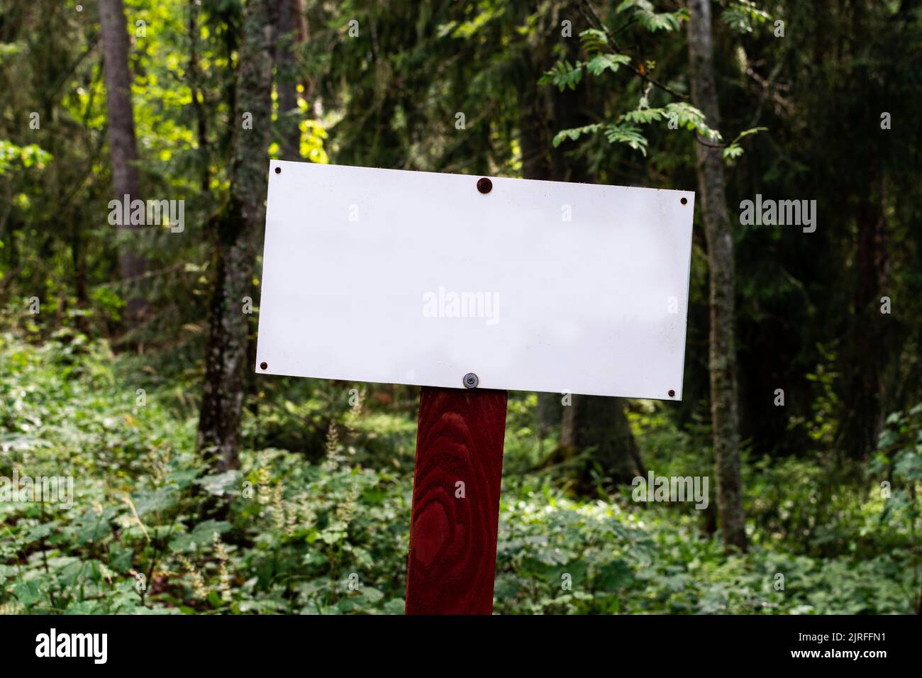 Bianco segno bianco con foresta verde sullo sfondo Foto Stock