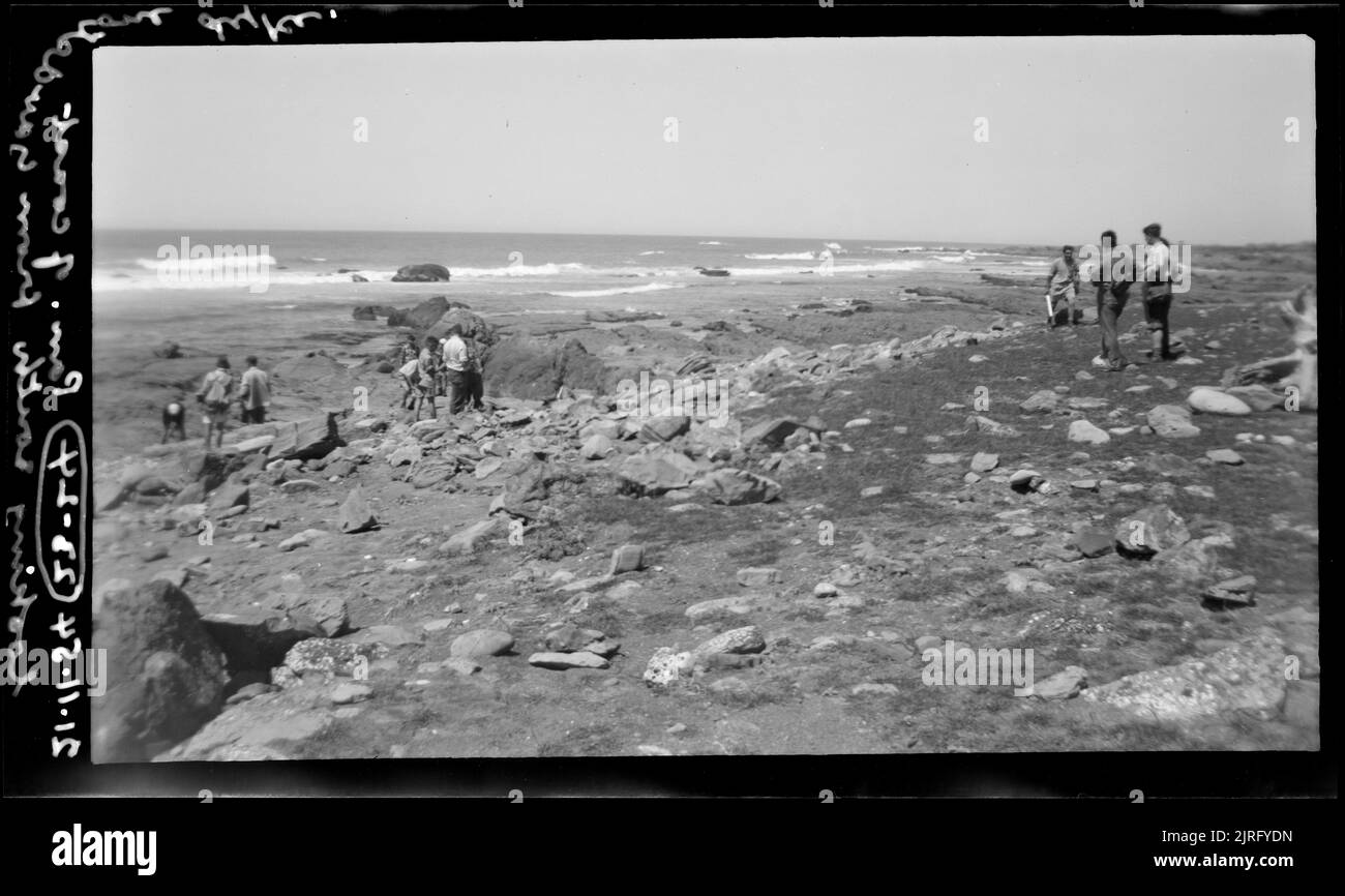 Panorama della costa guardando a sud dalla diga di arenaria, 21 novembre 1954, di Leslie Adkin. Foto Stock