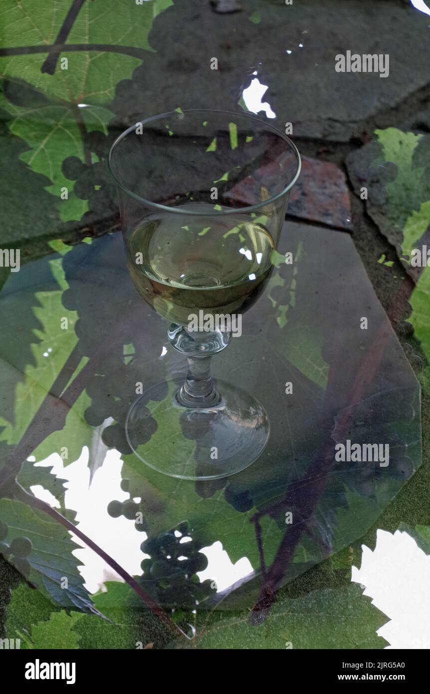 Un bicchiere di vino bianco. Decorazioni diverse. Foto Stock