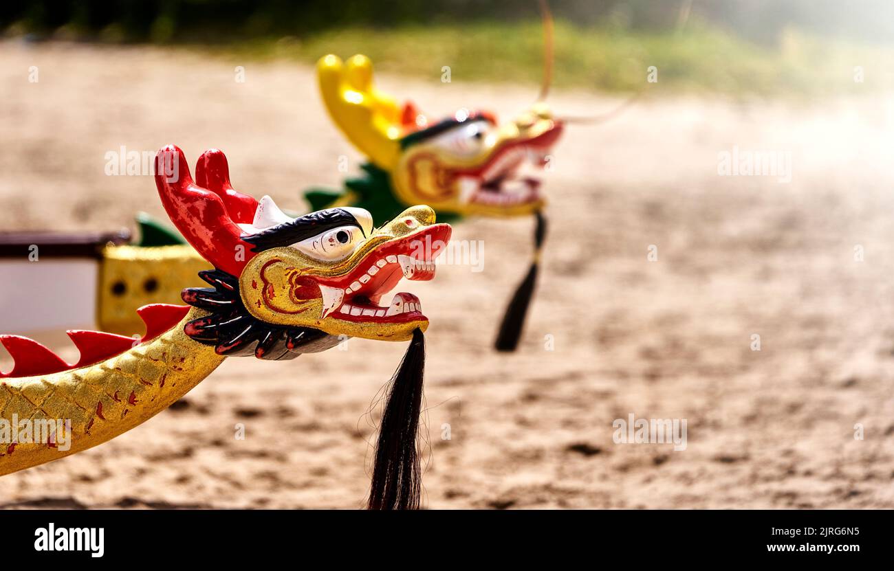 Testa di drago in legno dipinta di nero, rosso e oro con barba di mento sulla prua di una barca di drago, messa a fuoco selettiva Foto Stock