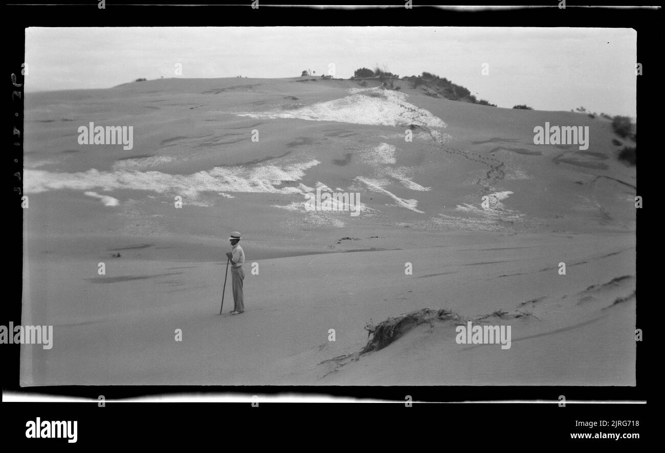 Midden numero 19, 27 dicembre 1936, di Leslie Adkin. Foto Stock