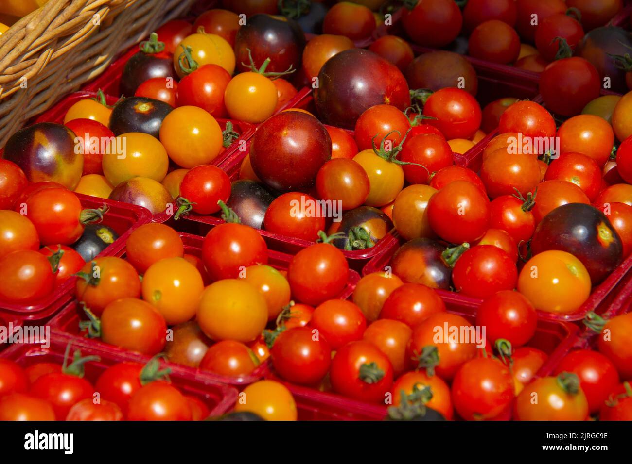 Pomodori ciliegini in vendita in un mercato all'aperto Foto Stock