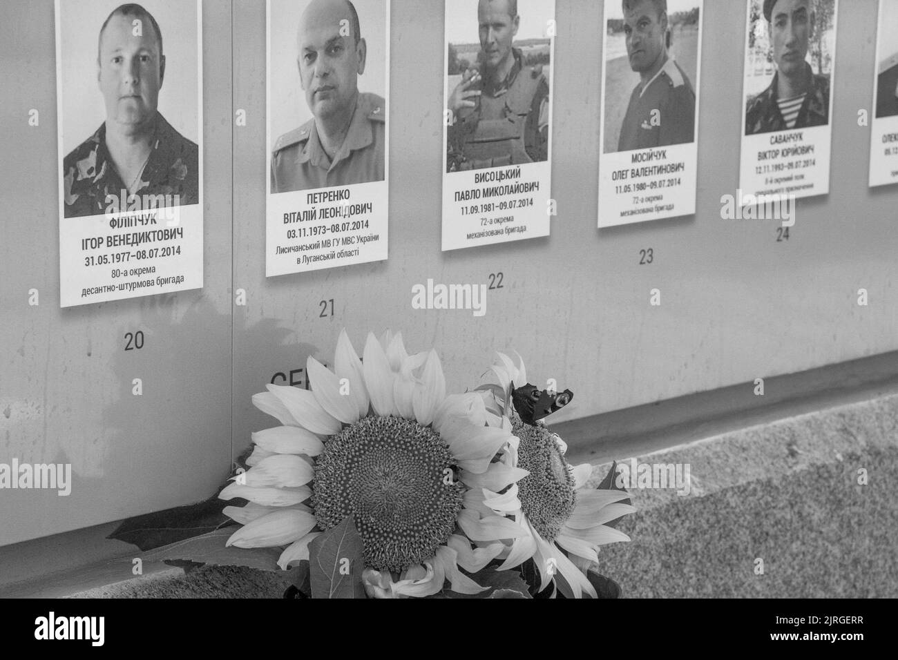 Il giorno dell'indipendenza dell'Ucraina, il presidente Volodymyr Zelenskyy e la prima signora Olena Zelenska hanno onorato la memoria dei difensori del nostro stato caduti durante la guerra russo-Ucraina. La coppia presidenziale ha posato i fiori al Muro della memoria vicino alla Cattedrale di San Michele a Kyiv. Una compagnia di guardie d'onore fu schierata e la surma suonò. La memoria degli eroi ucraini fu onorata con un momento di silenzio. Foto Stock