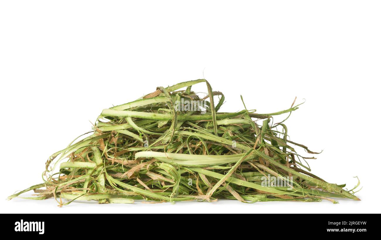 palo di corteccia di albero pelato o strato esterno del tronco per fare fertilizzante organico o pacciamatura, materiale biodegradabile di riciclaggio del giardino isolato Foto Stock