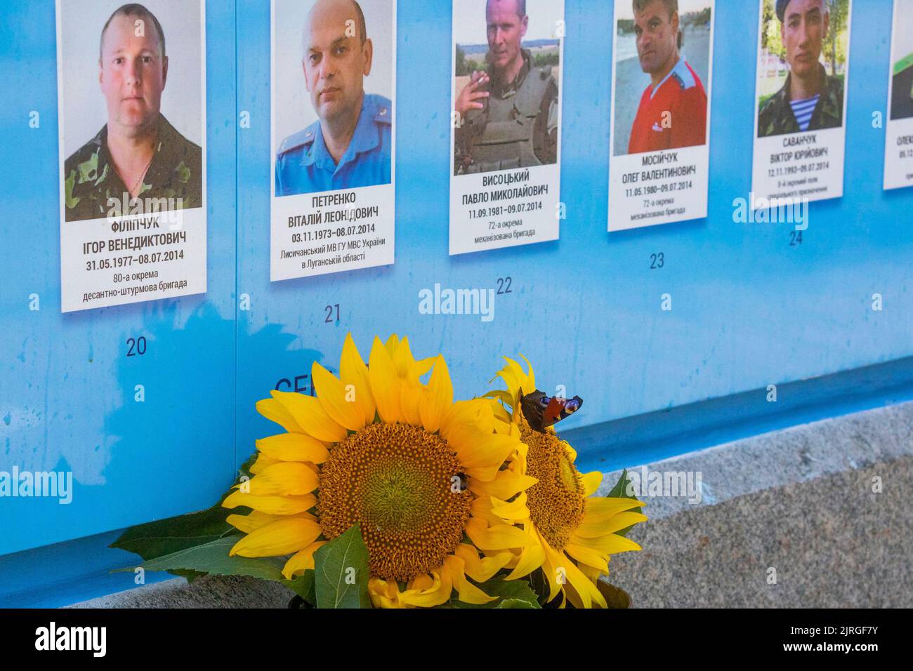 Il giorno dell'indipendenza dell'Ucraina, il presidente Volodymyr Zelenskyy e la prima signora Olena Zelenska hanno onorato la memoria dei difensori del nostro stato caduti durante la guerra russo-Ucraina. La coppia presidenziale ha posato i fiori al Muro della memoria vicino alla Cattedrale di San Michele a Kyiv. Una compagnia di guardie d'onore fu schierata e la surma suonò. La memoria degli eroi ucraini fu onorata con un momento di silenzio. Foto Stock