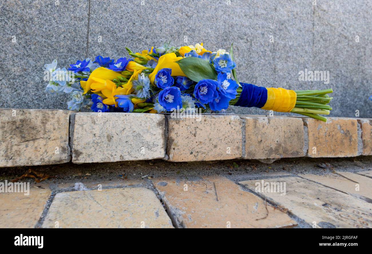 Il giorno dell'indipendenza dell'Ucraina, il presidente Volodymyr Zelenskyy e la prima signora Olena Zelenska hanno onorato la memoria dei difensori del nostro stato caduti durante la guerra russo-Ucraina. La coppia presidenziale ha posato i fiori al Muro della memoria vicino alla Cattedrale di San Michele a Kyiv. Una compagnia di guardie d'onore fu schierata e la surma suonò. La memoria degli eroi ucraini fu onorata con un momento di silenzio. Foto Stock