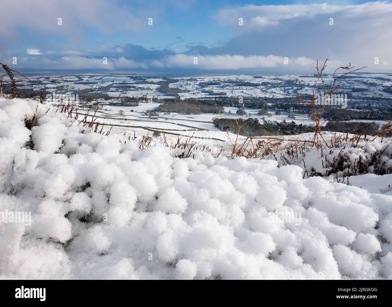 Palle di neve naturalmente formate su erica su Burley Moor vicino a Ilkley in una giornata nevosa, West Yorkshire, paesaggi del Regno Unito Foto Stock