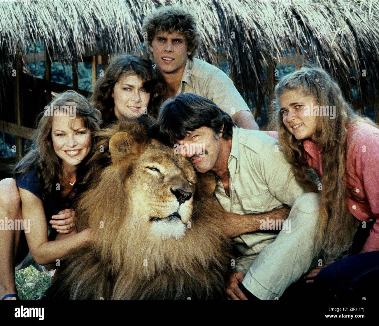 MICHELLE PHILLIPS, SHAWN STEVENS, TOM SKERRITT, ANN-MARIE MARTIN, TANA HELFER, SELVAGGIO RACCOLTO, 1981 Foto Stock