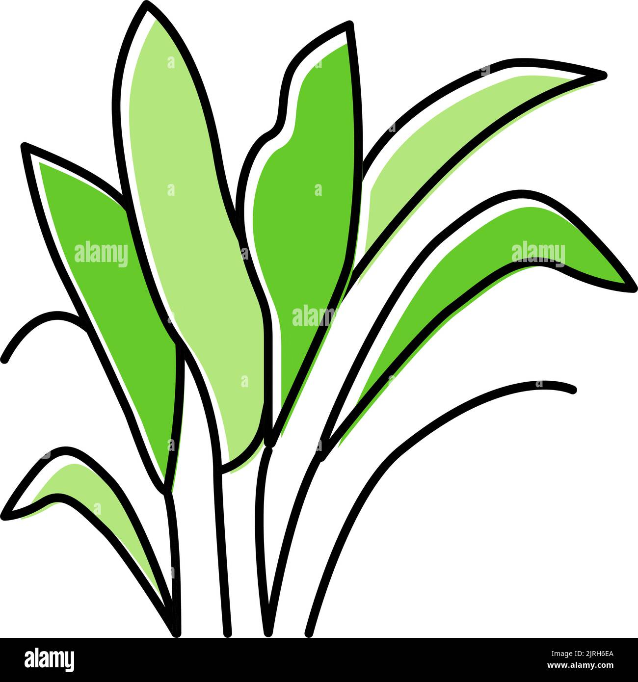 immagine vettoriale dell'icona a colori di amazon sword Illustrazione Vettoriale