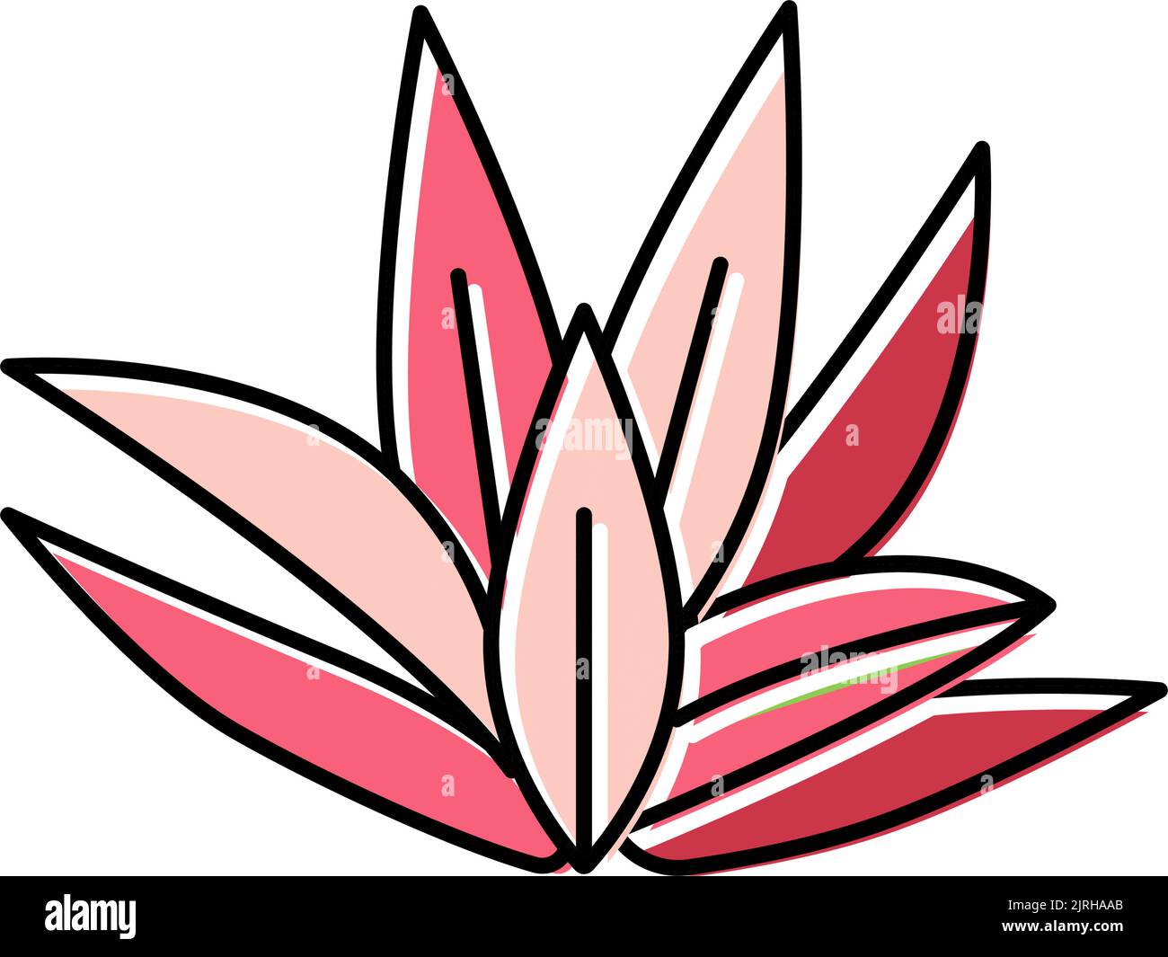 criptocoryne wendttii colore icona illustrazione vettore Illustrazione Vettoriale