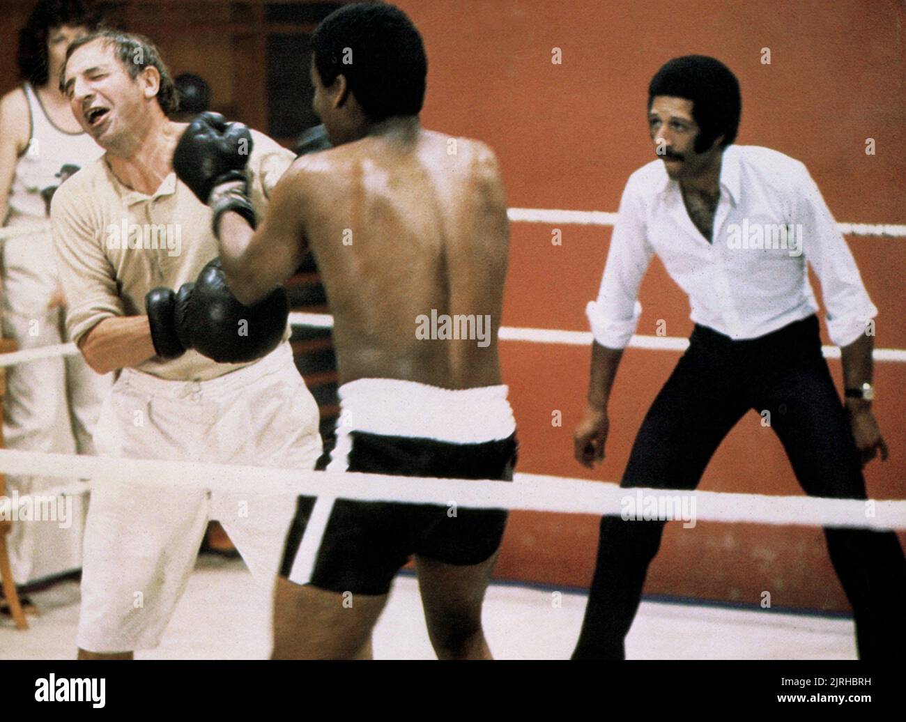 FRANCES DE LA TOUR, LEONARD ROSSITER, DON WARRINGTON, Derek Griffiths, umido aumentante, 1980 Foto Stock