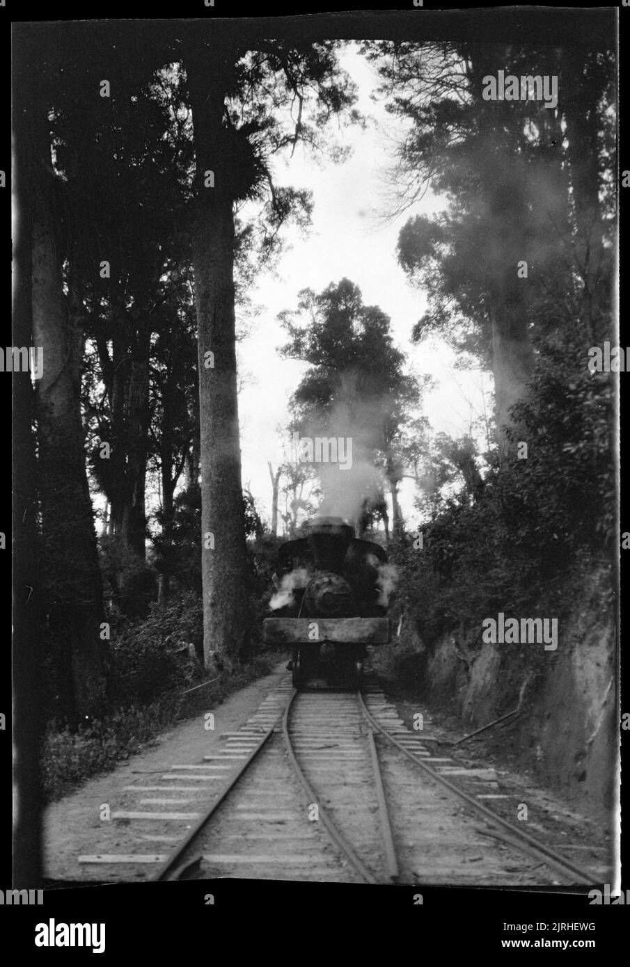 [Treno a vapore North Island], 1920s-1930s, North Island, di Roland Searle. Foto Stock