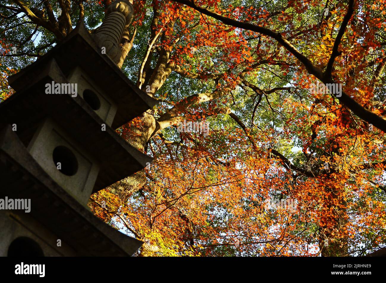 Giardino giapponese con lanterne di pietra ricoperte di foresta autunnale Foto Stock