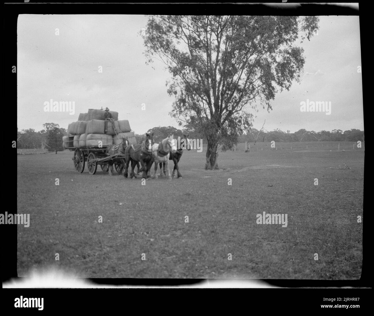 Balle di lana in transito, 1925, Australia, costruttore sconosciuto. Foto Stock