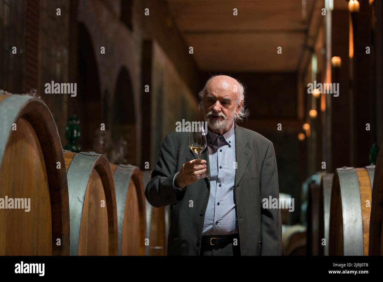 Esperto di vini degusta la qualità del vino bianco in una cantina, brinda alzando il bicchiere Foto Stock