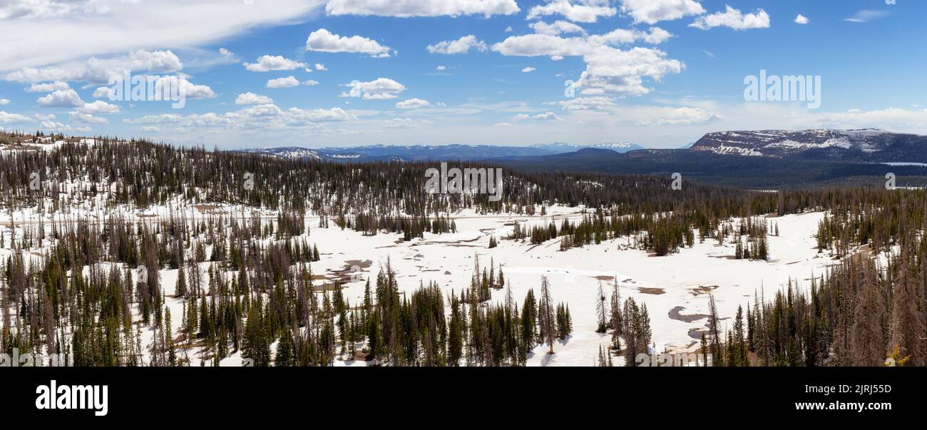 Mountain Pass nella Uinta-Wasatch-cache National Forest, Utah Foto Stock