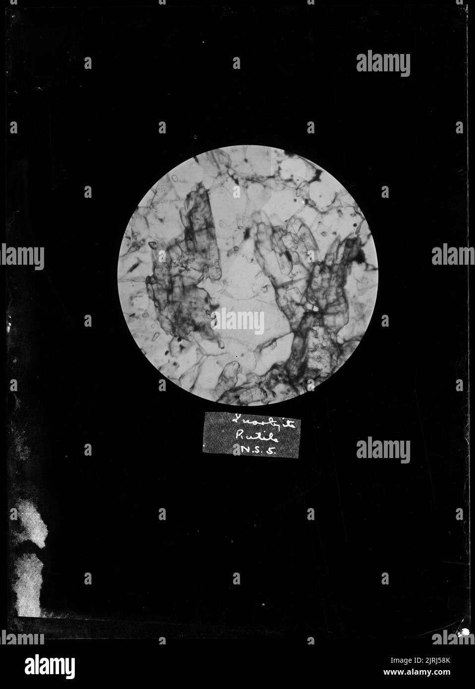 Quartzite Rutilo, circa 1910, di Fred Brockett. Foto Stock
