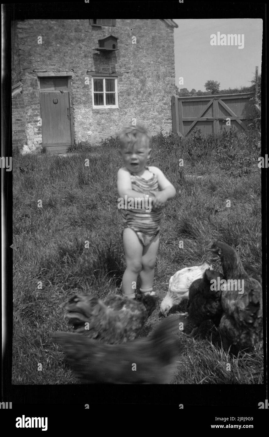 Michael Johnson nutrire i polli, Somerset, 1930s, Inghilterra, di Eric Lee-Johnson. Foto Stock