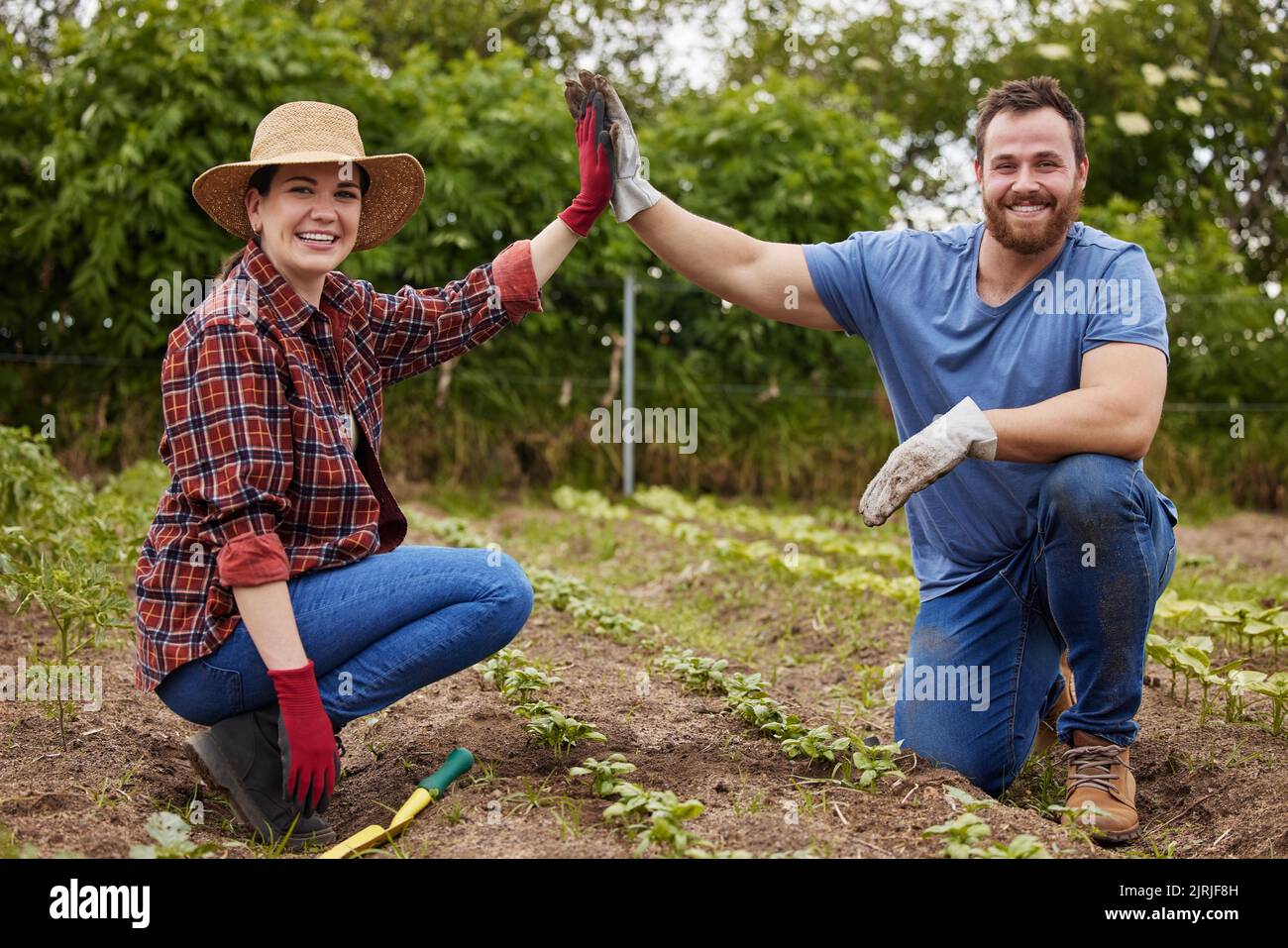 High Five, azienda agricola e agricoltura con un agricoltore in collaborazione e come team nel settore agricolo e agricolo. Motivazione, successo Foto Stock