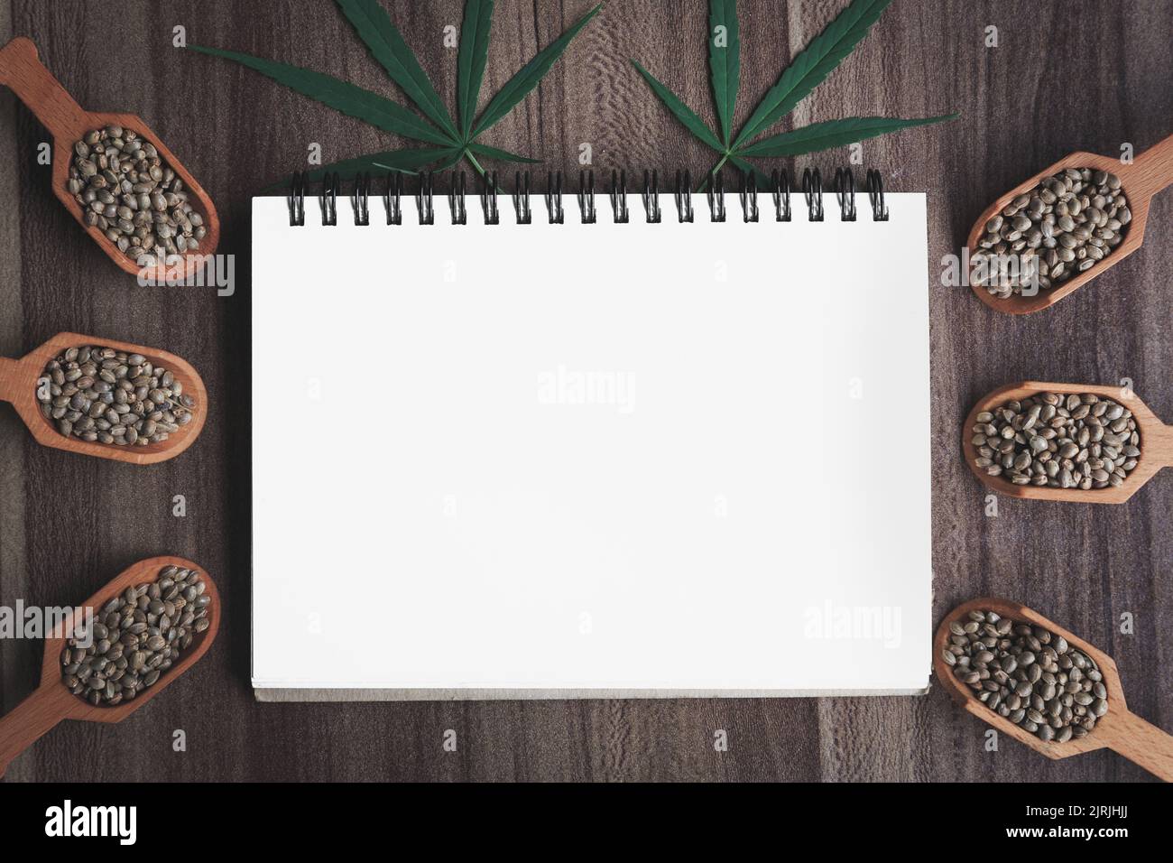 semi di cannabis e foglie di canapa su un taccuino vuoto, spazio per il testo. Foto Stock