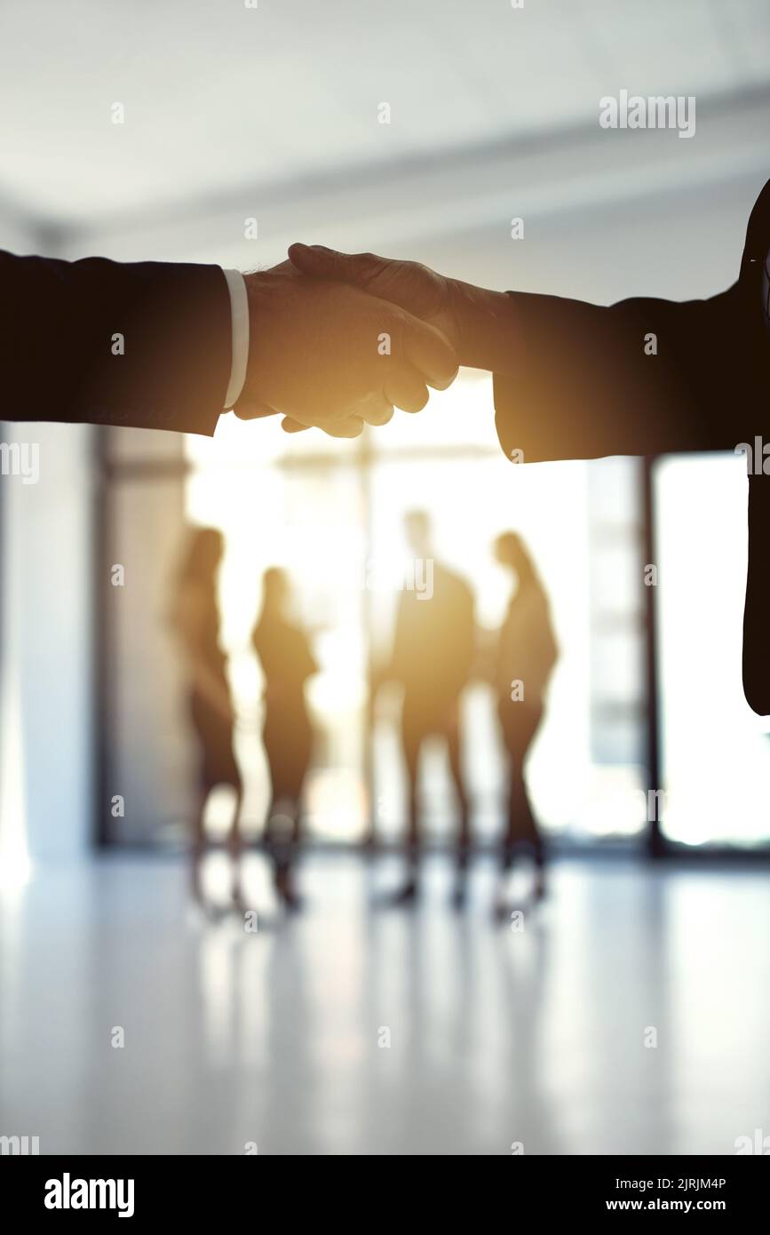 Salutate ogni opportunità per migliorare il successo della vostra azienda. Due uomini d'affari si stringono le mani in un ufficio con i colleghi in background. Foto Stock