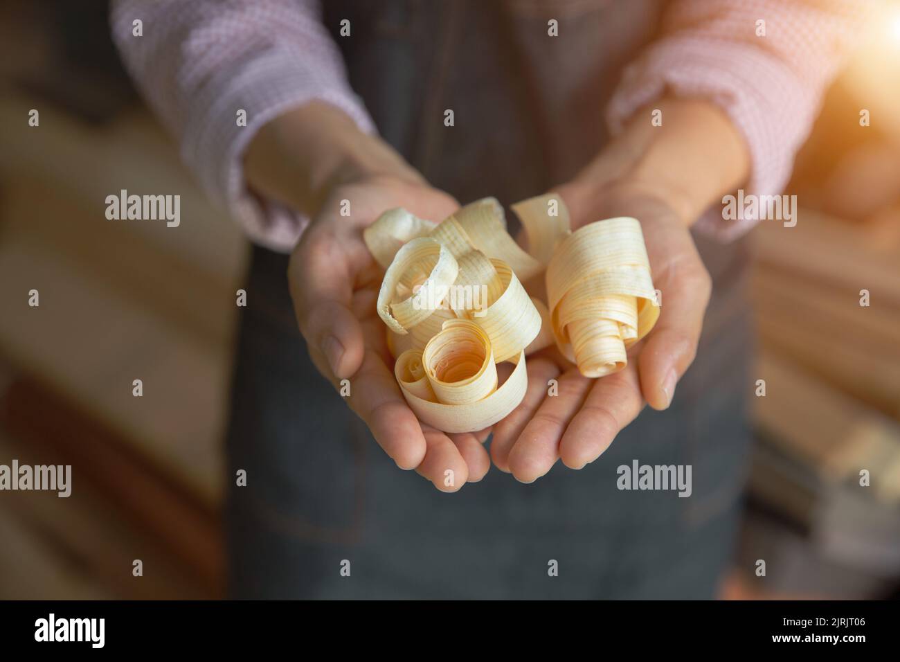 segatura nelle mani di un falegname. Foto Stock