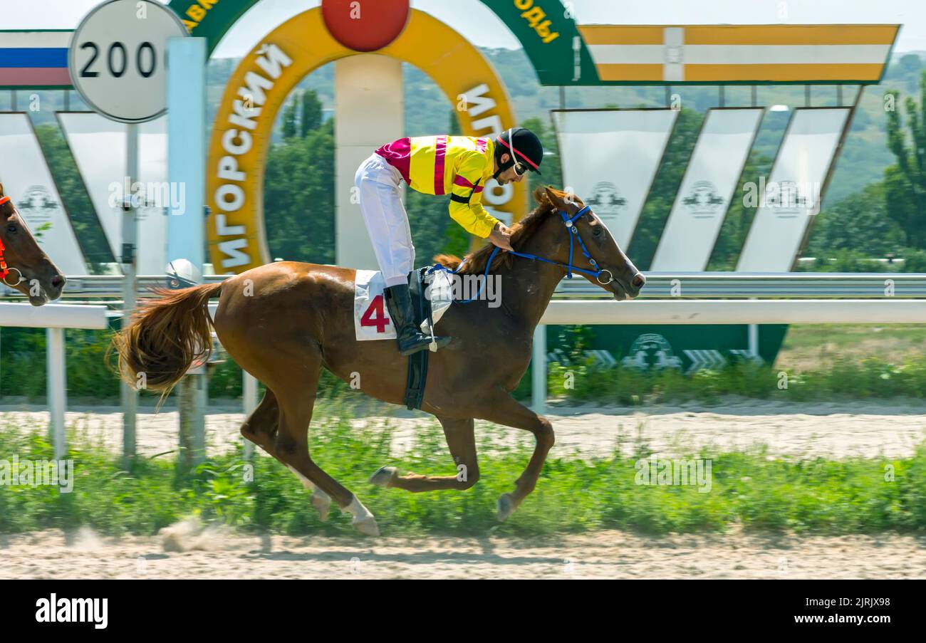 Termina la corsa a cavallo per il premio del Budennogo a Pyatigorsk, Caucaso settentrionale, Russia. Foto Stock