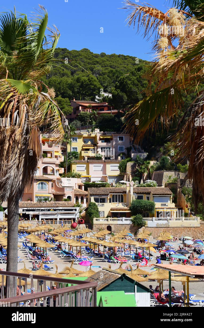Una vista della bellissima spiaggia e baia di Camp de Mar sul lato sud-occidentale di Mallorca. Foto Stock
