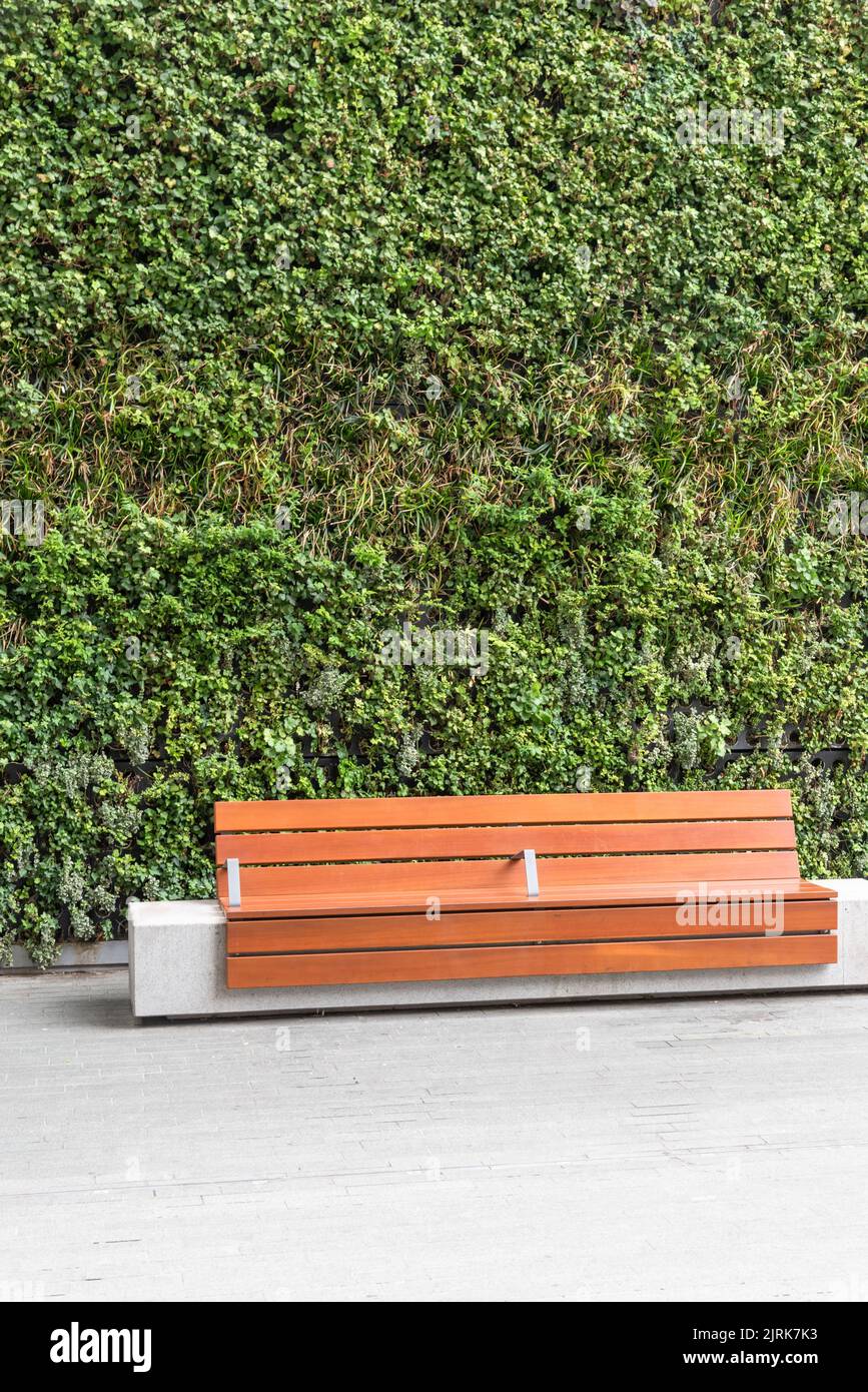 Posti a sedere di fronte ad una parete verde vivente Foto Stock